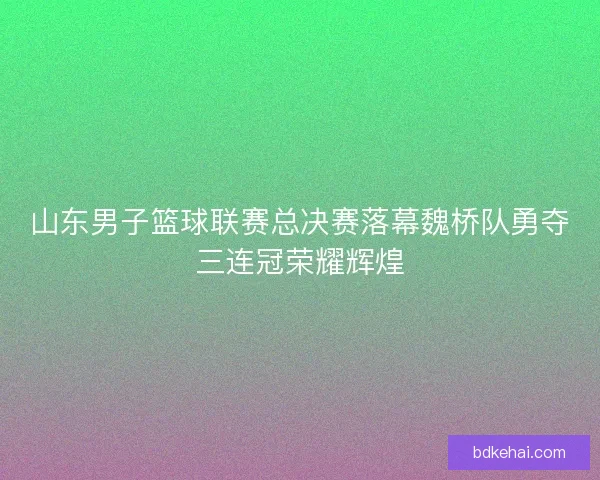山东男子篮球联赛总决赛落幕魏桥队勇夺三连冠荣耀辉煌