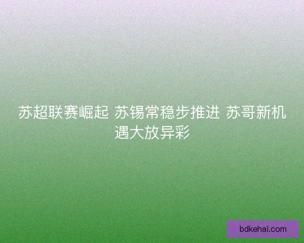 苏超联赛崛起 苏锡常稳步推进 苏哥新机遇大放异彩